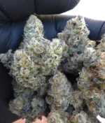 Banaffy Taffy 46 (Mainly Organics) - Image 2