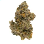 Banana Cream Jealousy - Image 2