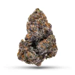 Lemon Cherry Gelato - Image 2