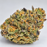 Orange Drip (LA Family Farms) PRE ORDER - Image 2